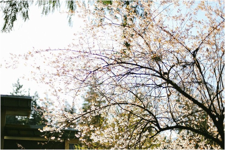 2014-03-22_0003